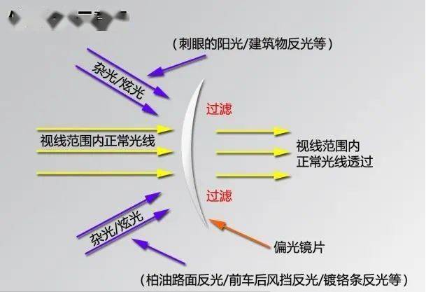 2025全年資料免費大全同2025新奥及香港资料正版大全,远离虚假的假诱导光-通俗剖析、专家解析解释与落实