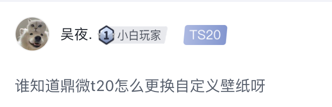18545114